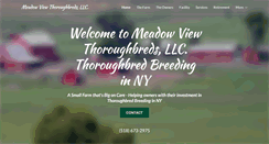 Desktop Screenshot of meadowviewthoroughbreds.com