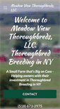 Mobile Screenshot of meadowviewthoroughbreds.com